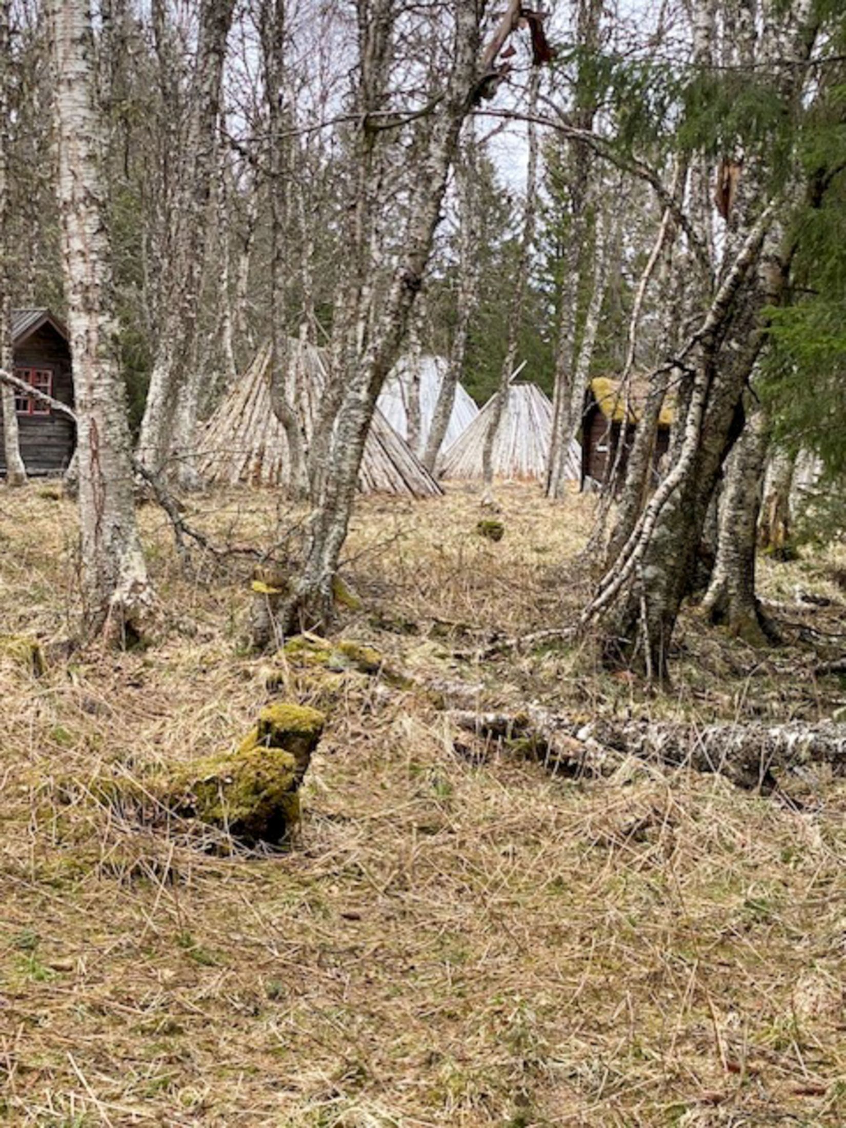 Fritidshus, Häggsjönäs 151, Lövsta/Nordhallen/Häggsjön, Åre