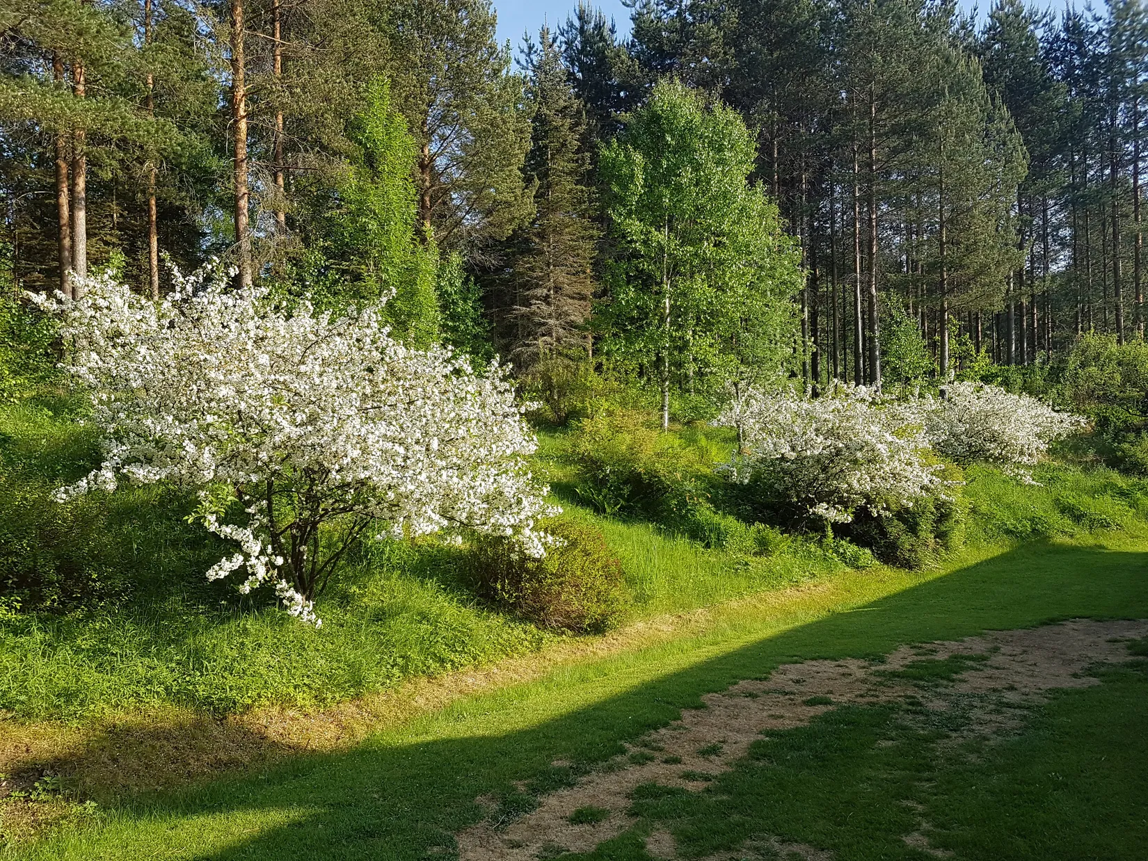 Villa, Kvarntorpsvägen 1, Munkfors