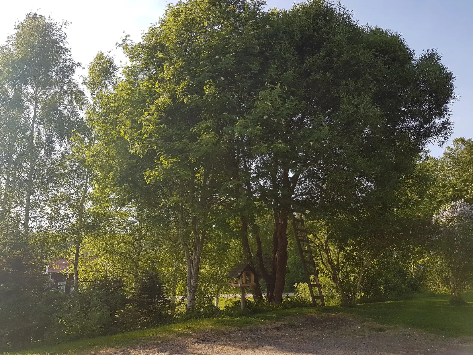 Villa, Kvarntorpsvägen 1, Munkfors