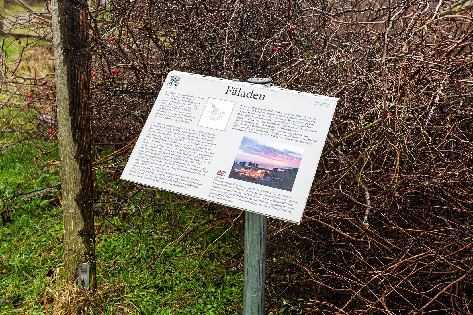 Villa, Möllevångsvägen 18, Mölle, Höganäs