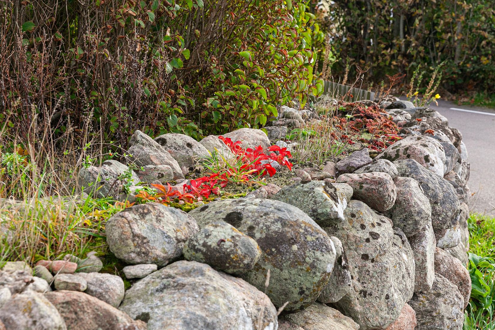 Villa, Möllevångsvägen 18, Mölle, Höganäs