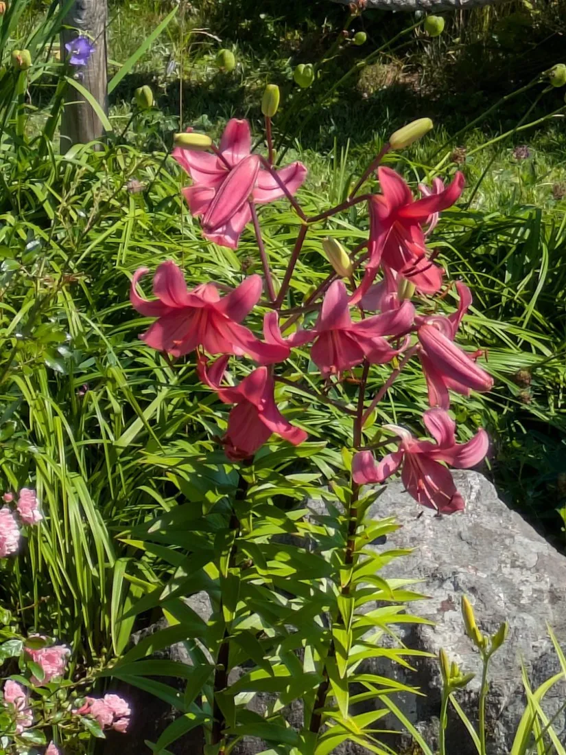 Villa, Rosenhällsgatan 35, Snopptorp, Eskilstuna