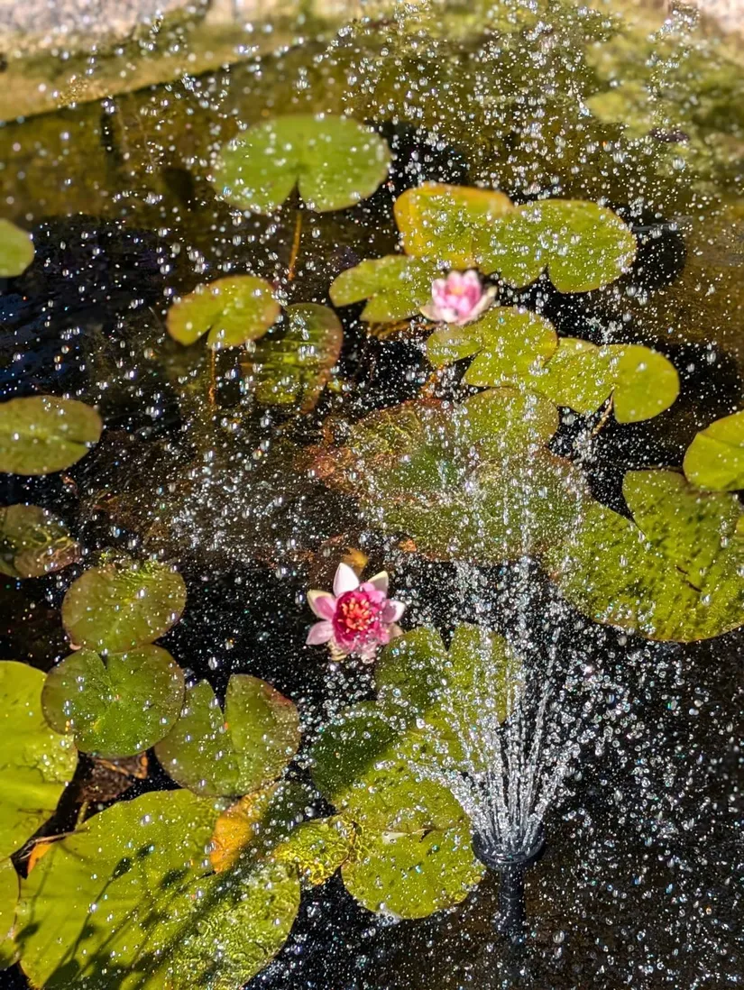 Villa, Rosenhällsgatan 35, Snopptorp, Eskilstuna