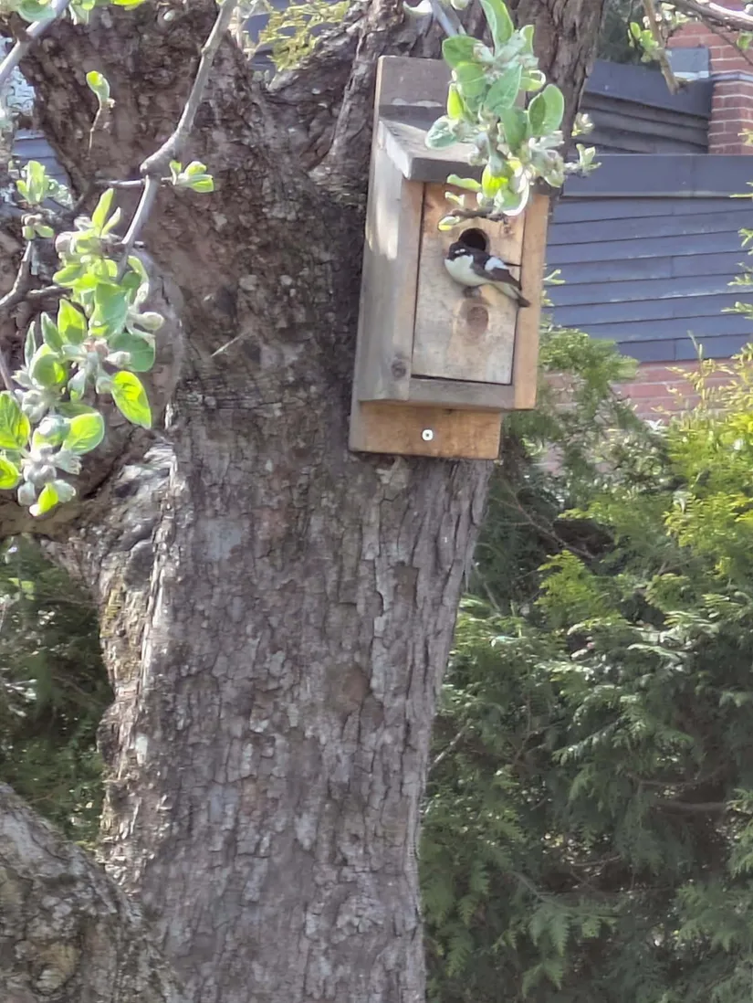 Villa, Rosenhällsgatan 35, Snopptorp, Eskilstuna