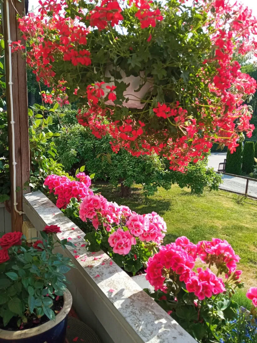 Villa, Rosenhällsgatan 35, Snopptorp, Eskilstuna