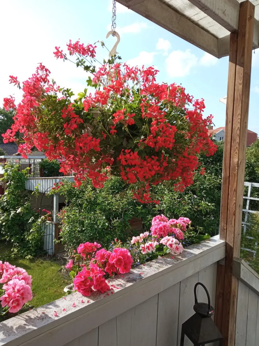 Villa, Rosenhällsgatan 35, Snopptorp, Eskilstuna