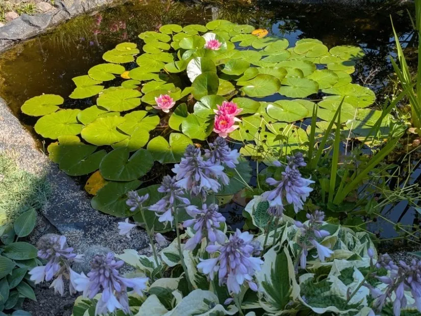 Villa, Rosenhällsgatan 35, Snopptorp, Eskilstuna