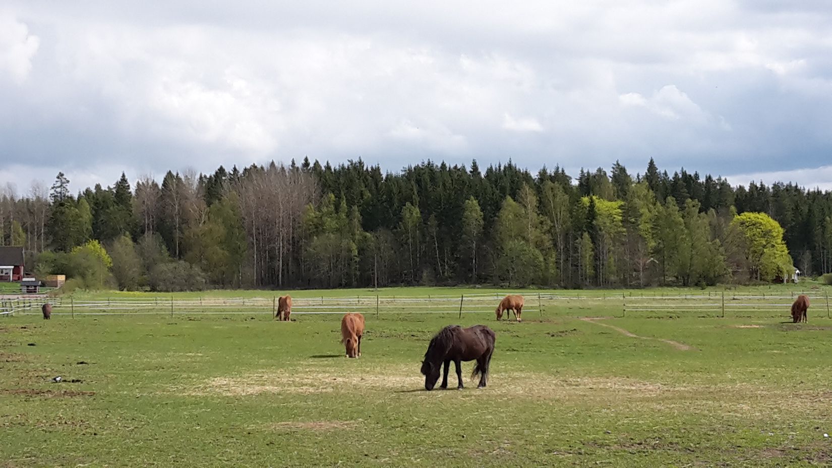 Gård/Skog, Hällberga Torsberga gård, Hällberga, Eskilstuna