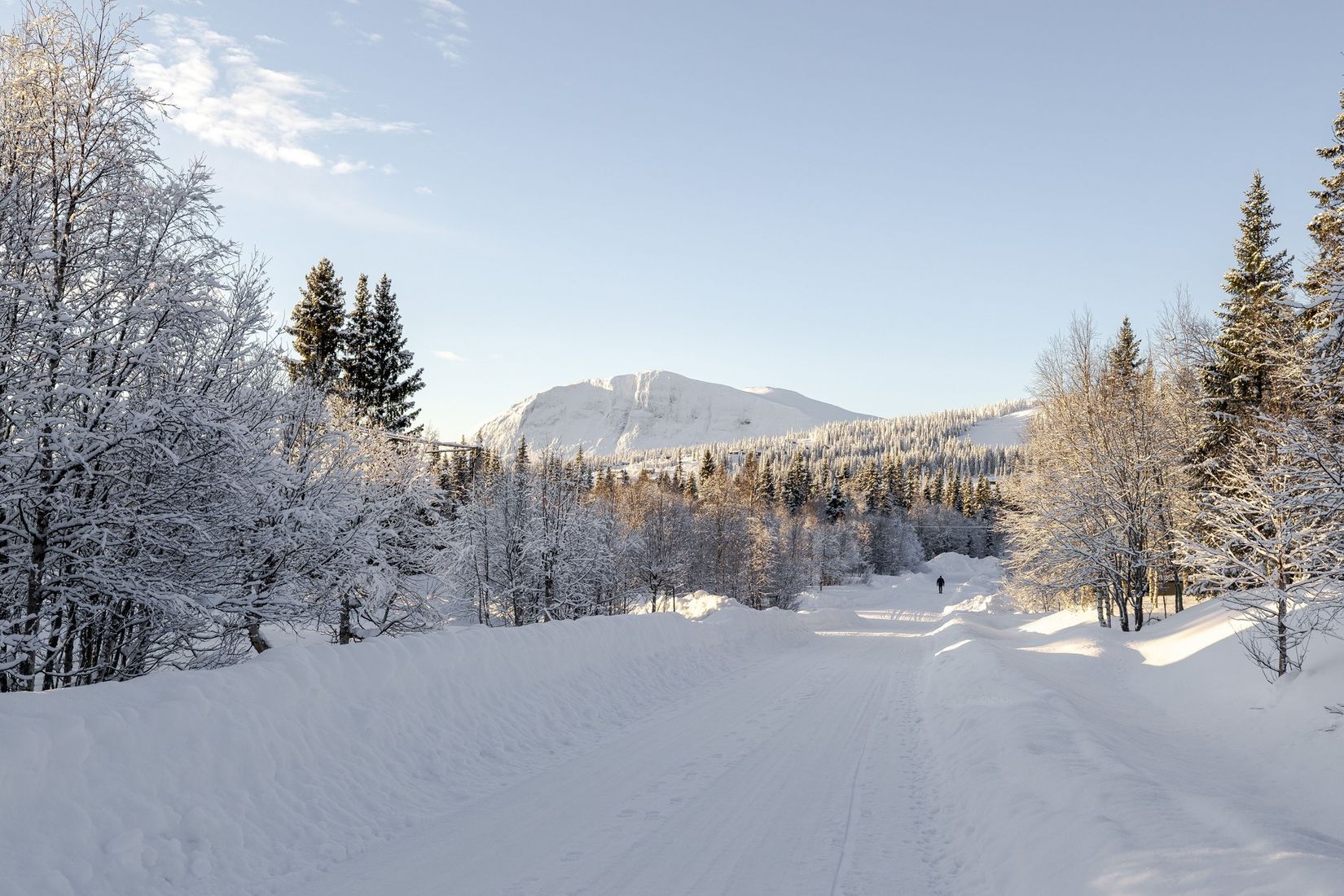 Fritidshus, Orrvägen 44, Borgafjäll, Dorotea