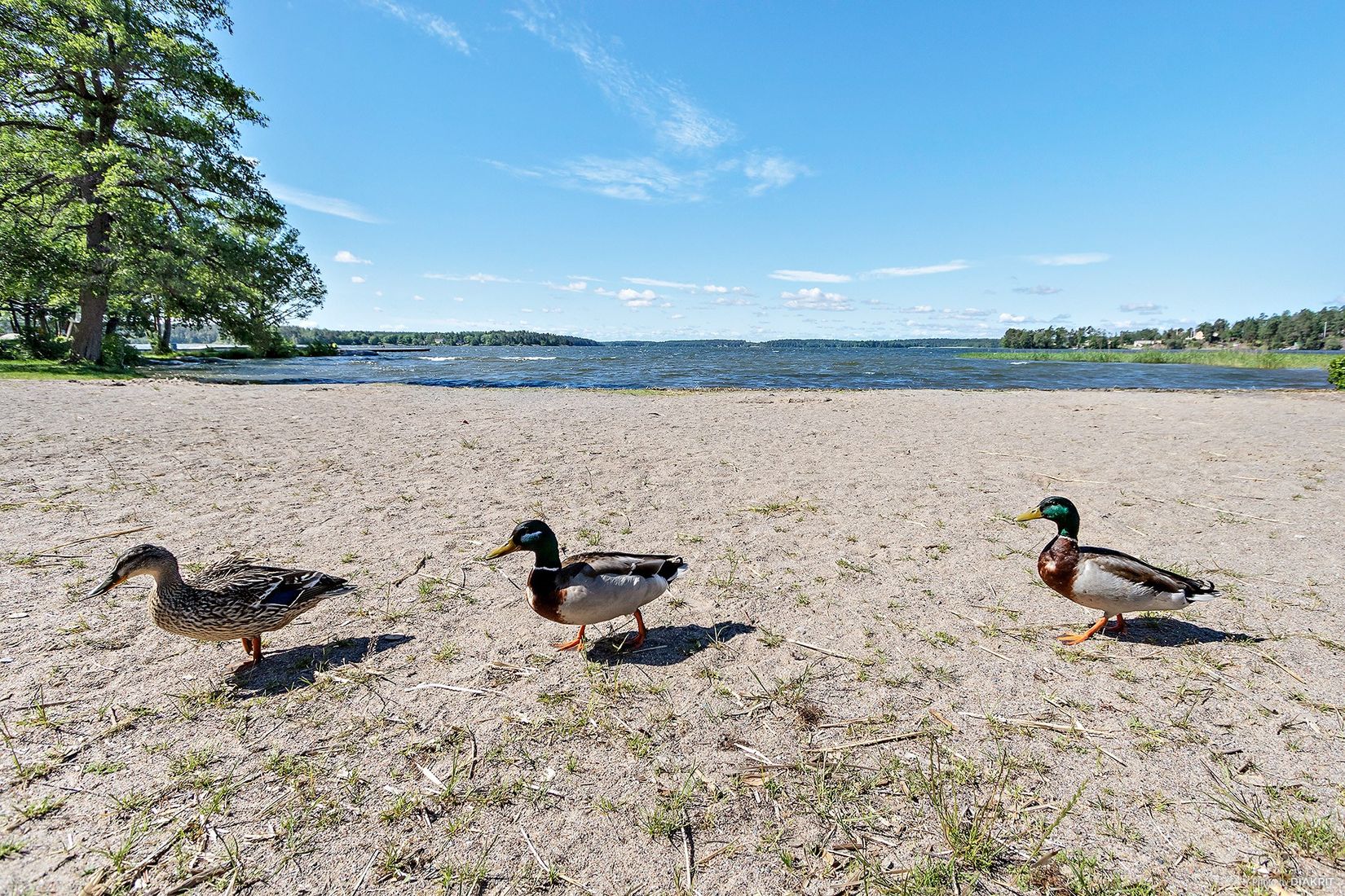 Bostadsrätt, Aprikosgatan 90, Hässelby Strand, Stockholm