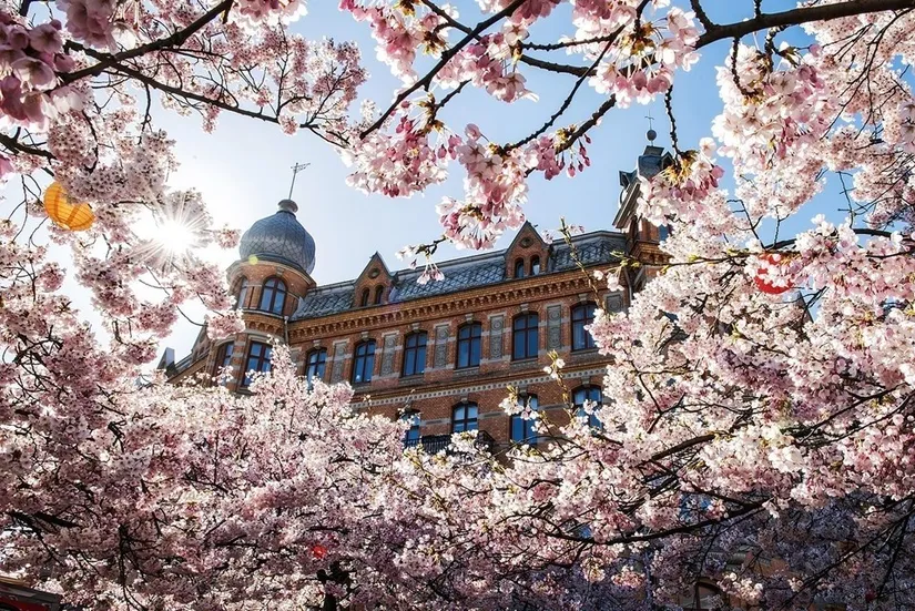 Bostadsrätt, Föreningsgatan 3B, Vasastaden, Göteborg