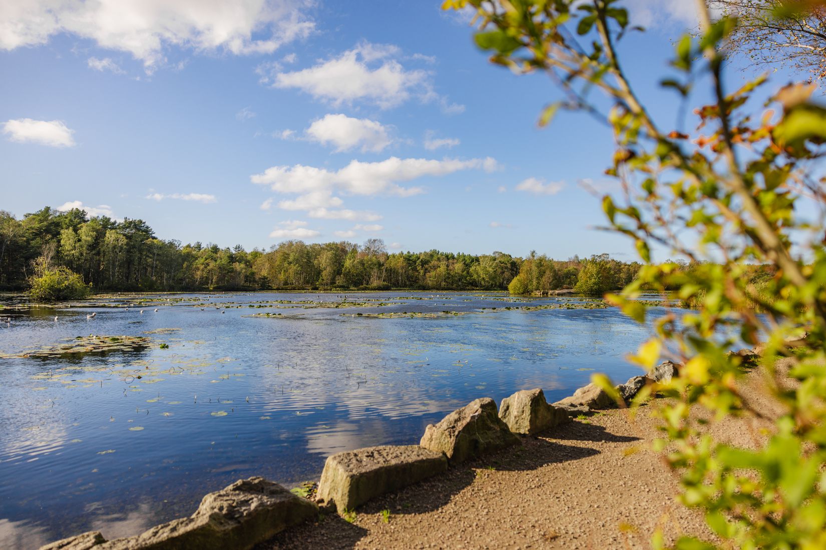 Bostadsrätt, Långströmsgatan 26, Centrala Hisingen, Göteborg