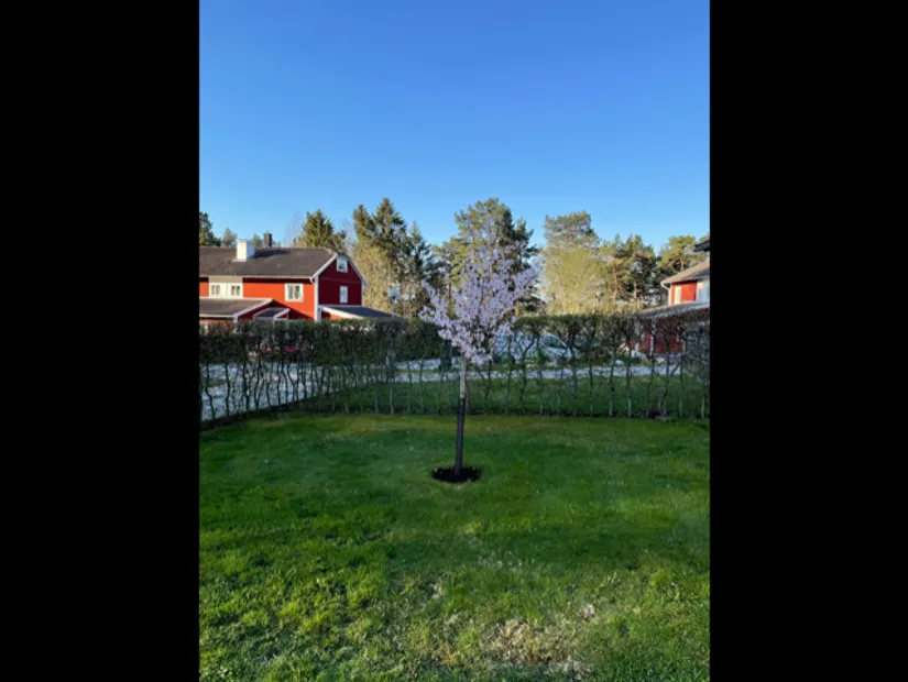 Villa, Nibbla backe 60, Ekerö Nibbla, Ekerö