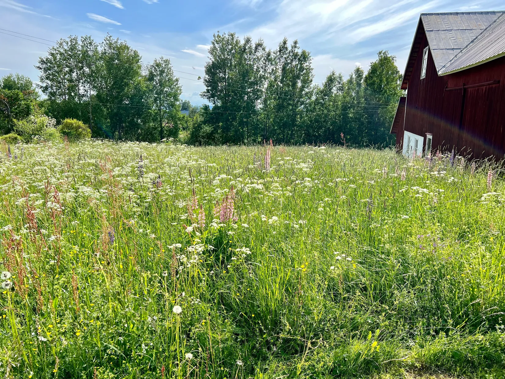 Villa, Skinnarbacken 9, Slättberg, Orsa