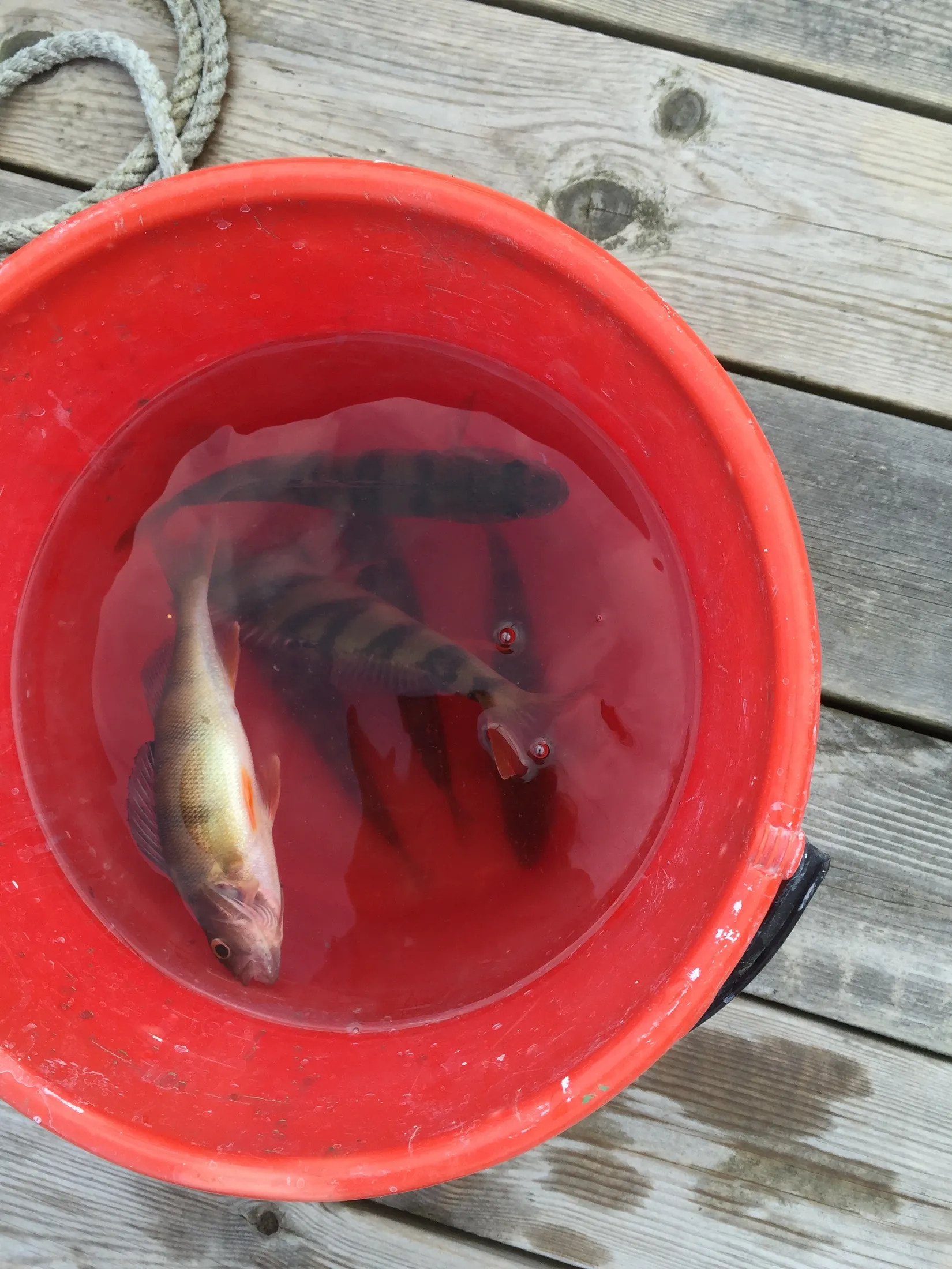 Fritidshus, Grytsjövägen 51, Gryta - Skogstorp, Norrtälje