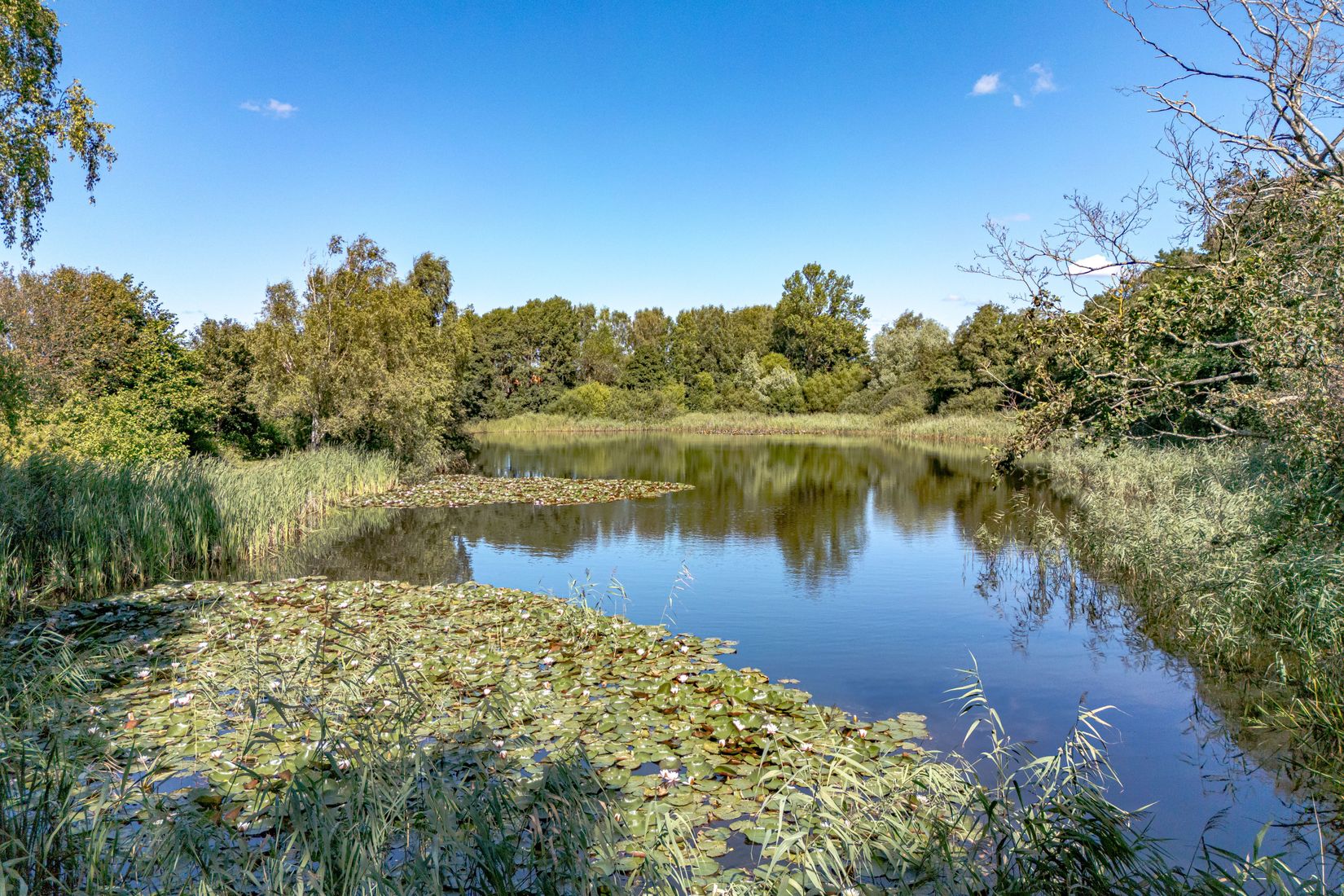 Villa, Anders Anderssons väg 5, Herting, Falkenberg