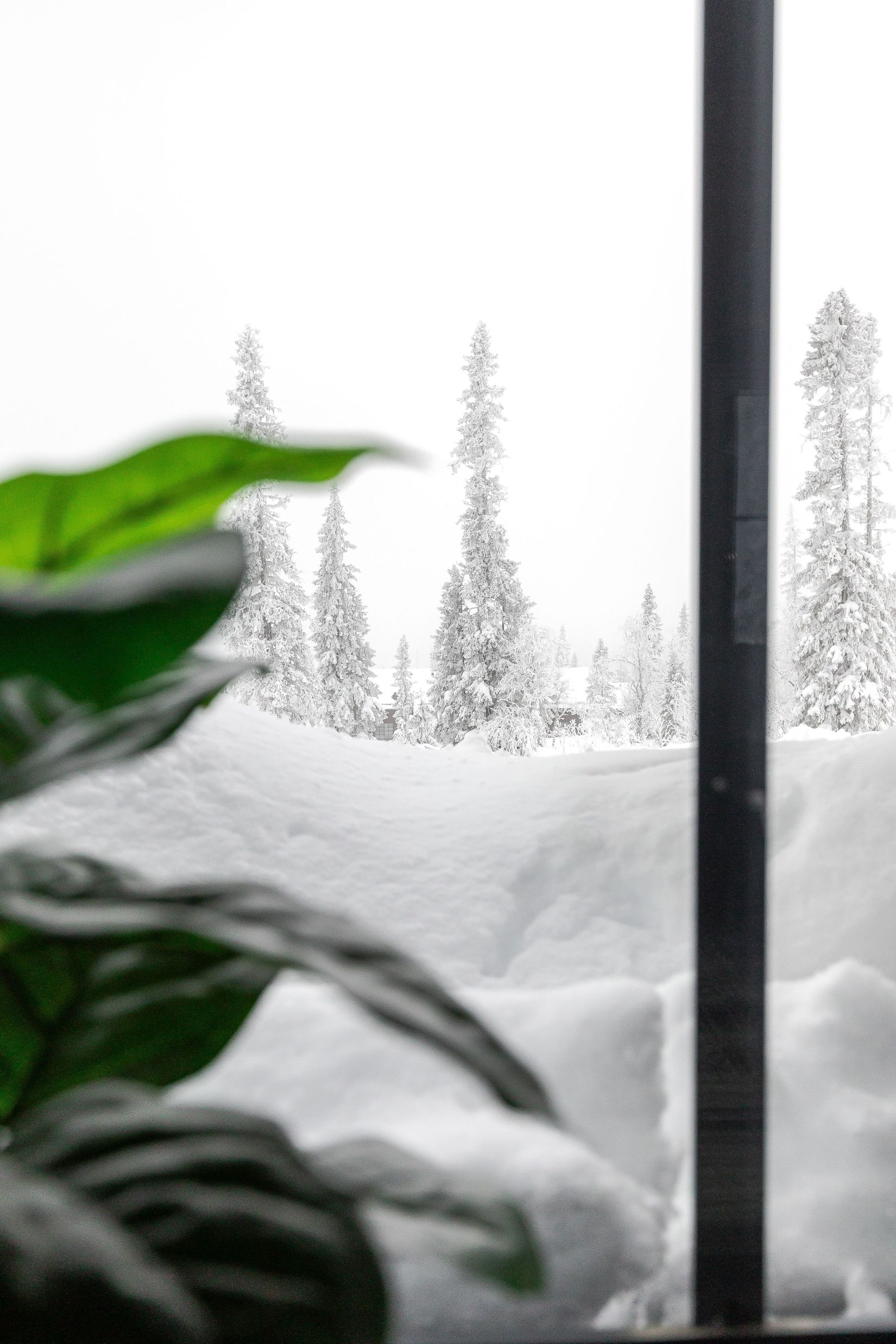 Bostadsrätt, Lupusvägen 3B, Storhogna, Berg