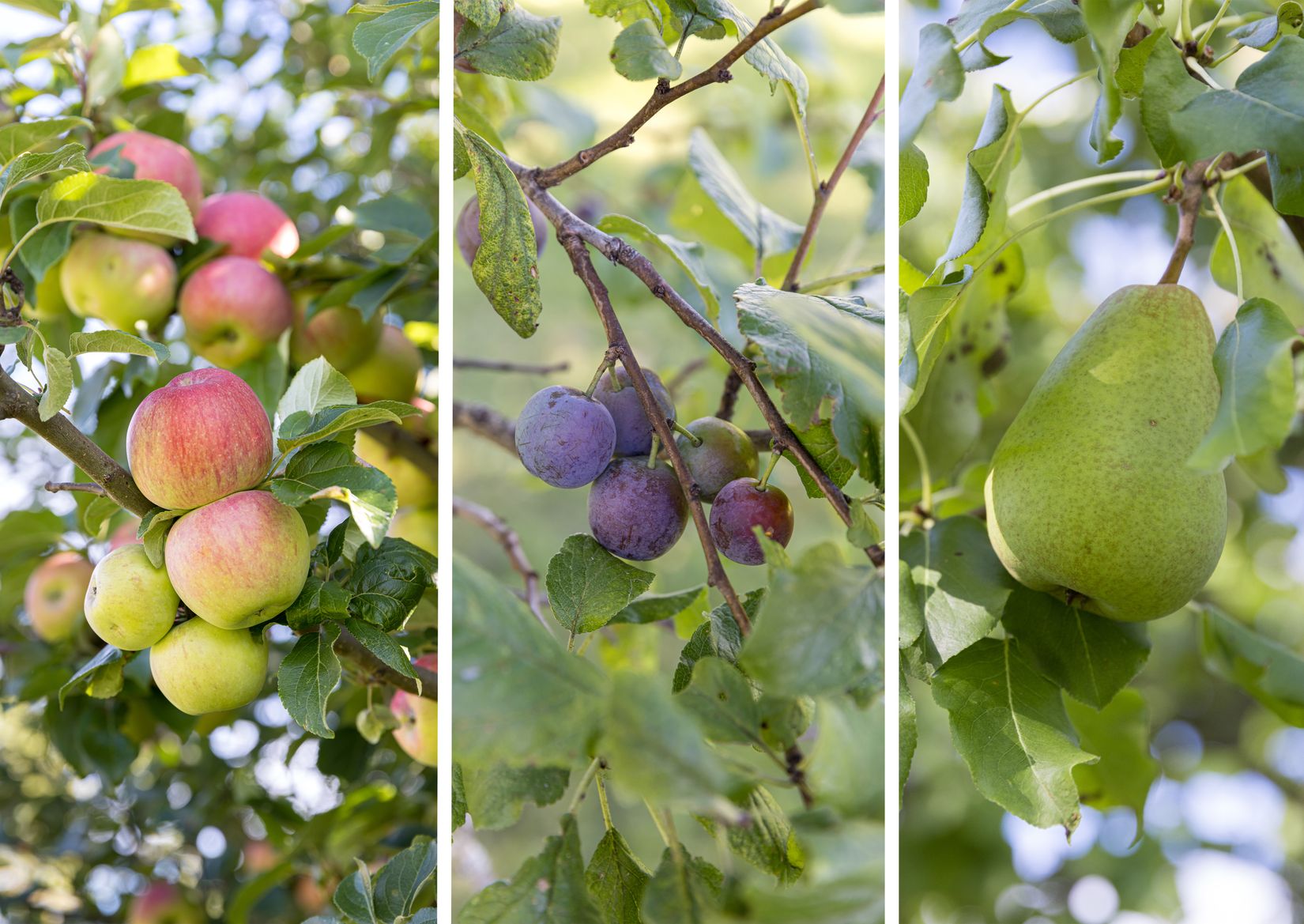 Villa, Fjuckby Nyåker 4, Ärentuna, Uppsala