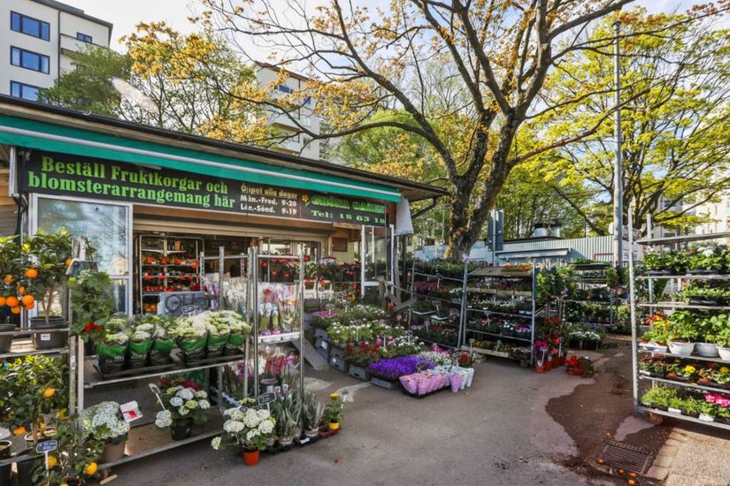 Bostadsrätt, Frida Hjertbergs gata 1, Johanneberg, Göteborg