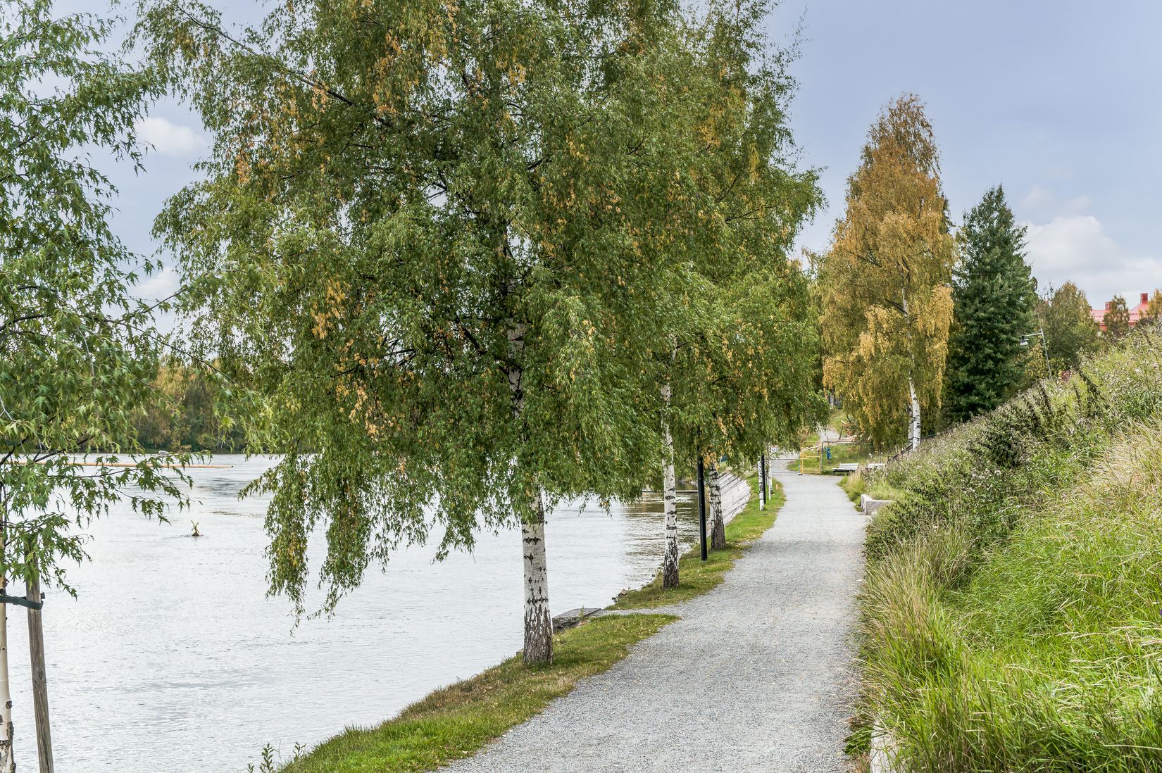 Bostadsrätt, Köpmangatan 1B, Centrum, Skellefteå