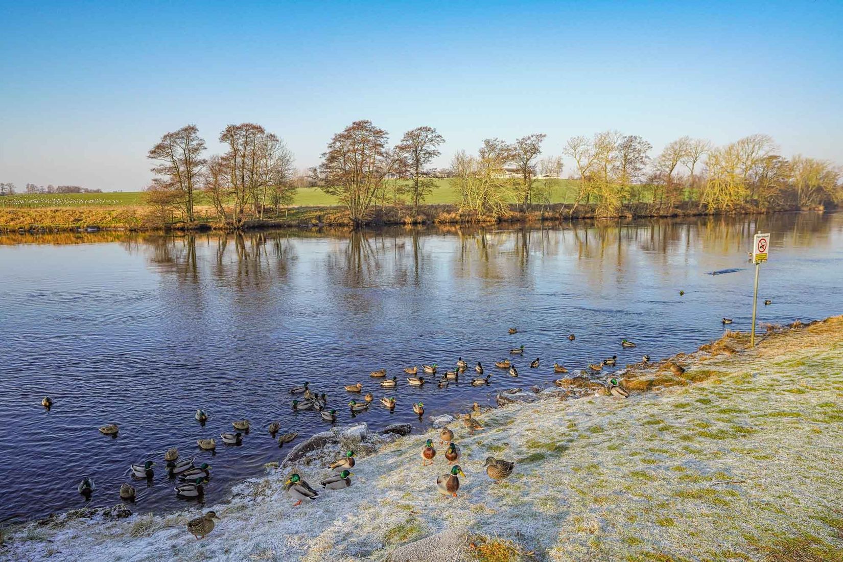 Villa, Danska vägen 10, Laholm