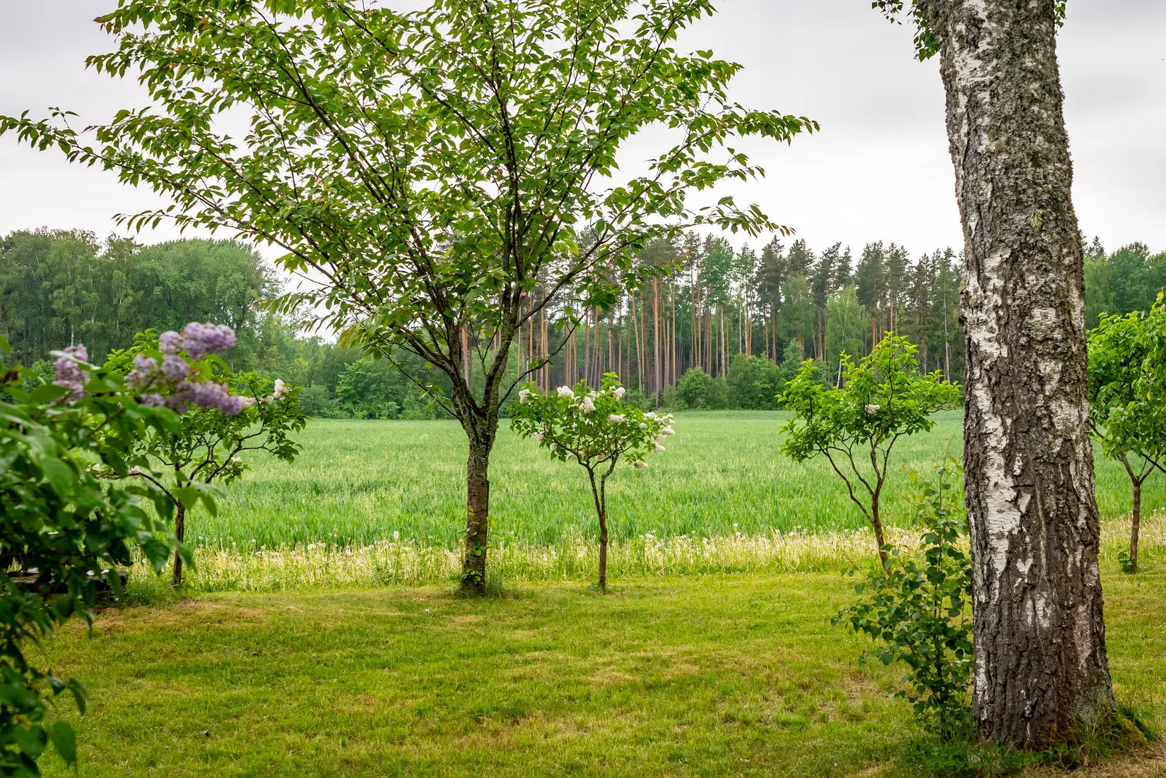 Villa, Vallby Eknäs 6, Vallby Eknäs, Enköping