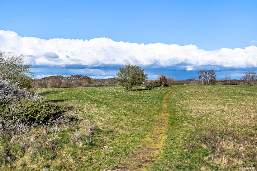 Bostadsrätt, Ribstonvägen 4A, Göingegården, Varberg