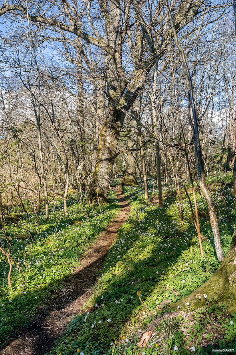 Bostadsrätt, Ribstonvägen 4A, Göingegården, Varberg