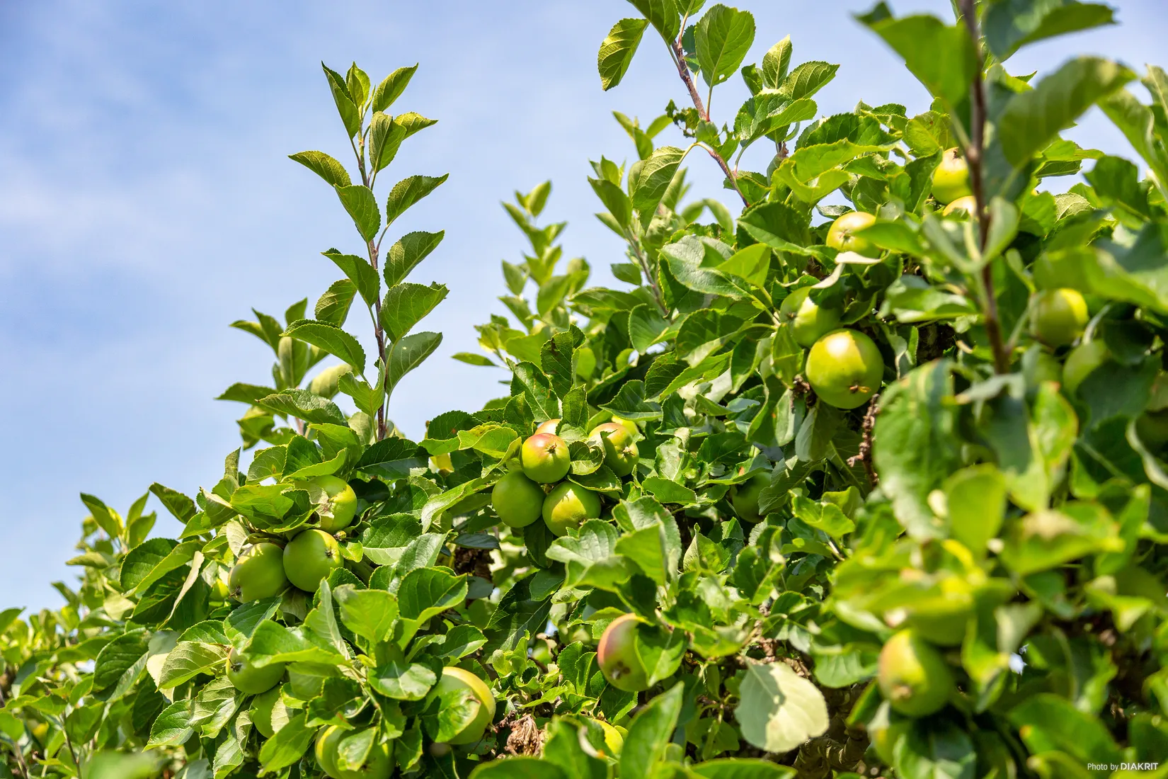 Villa, Källviksvägen 17, Näset, Göteborg