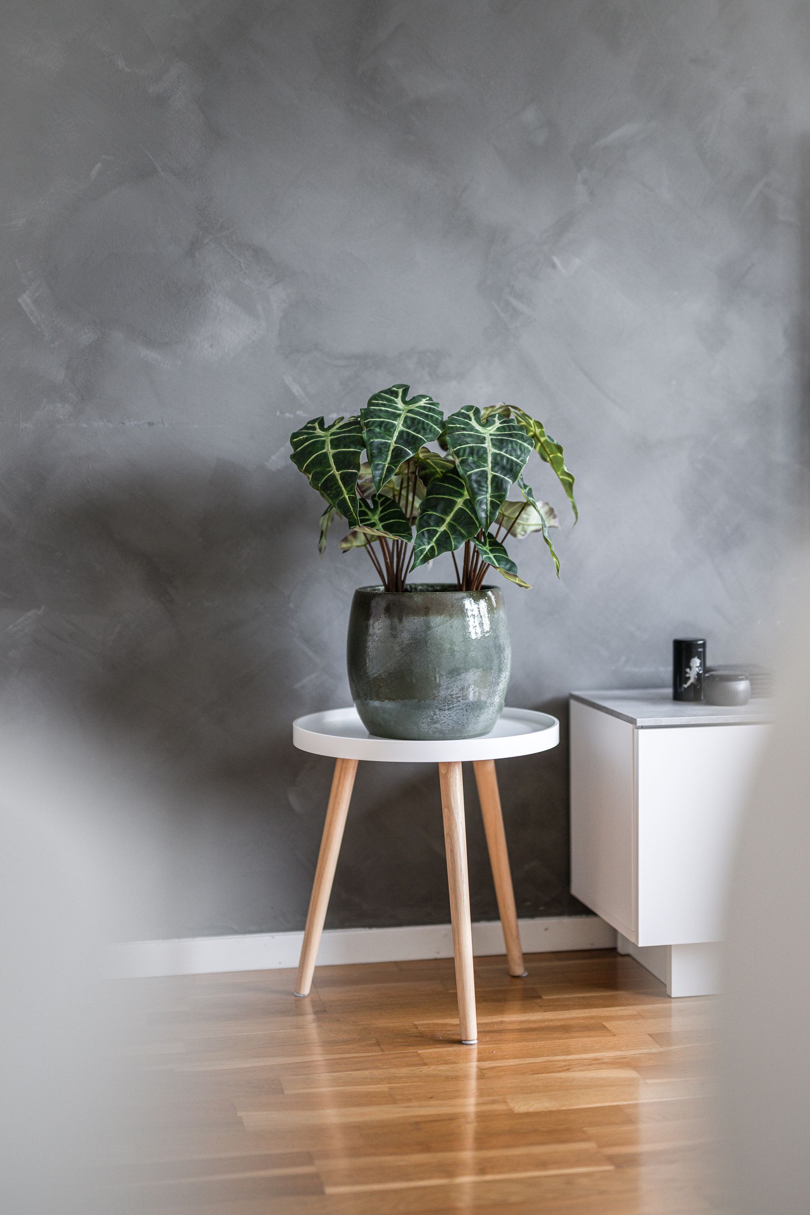 Bostadsrätt, Kvarnholmsgatan 5, Tågaborg, Helsingborg