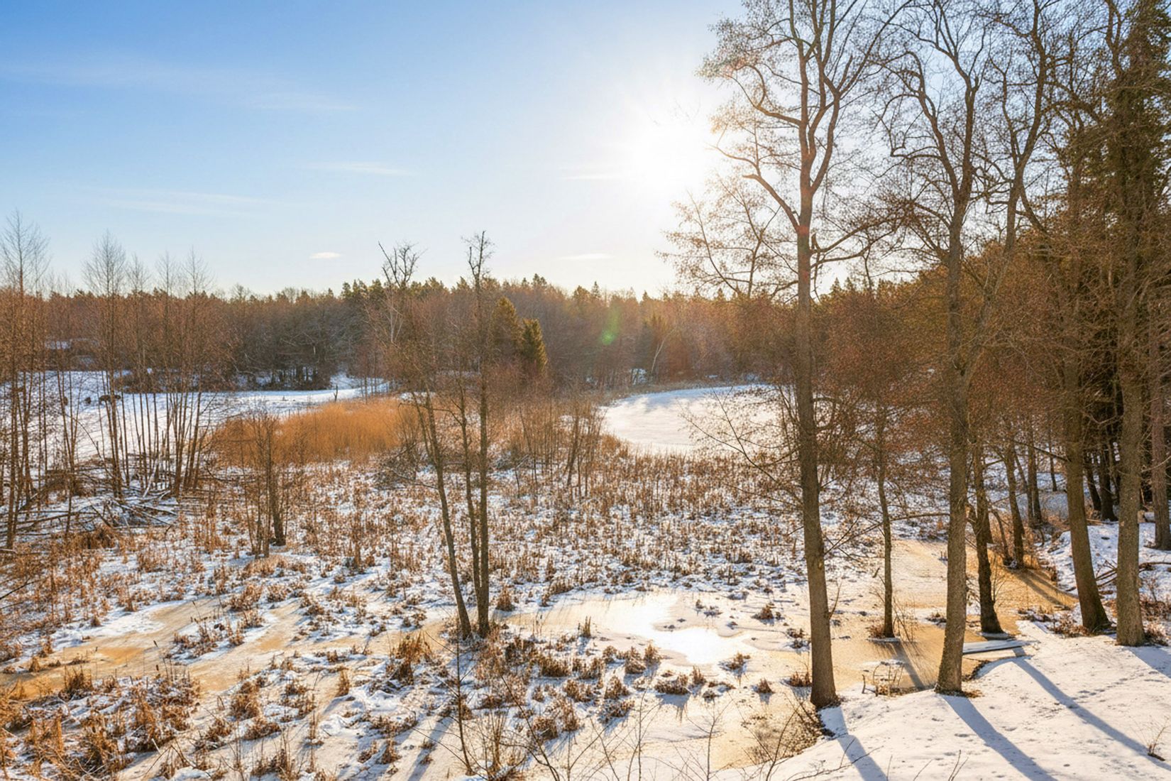 Villa, Skogsövägen 50, Saltsjöbaden/Skogsö, Nacka