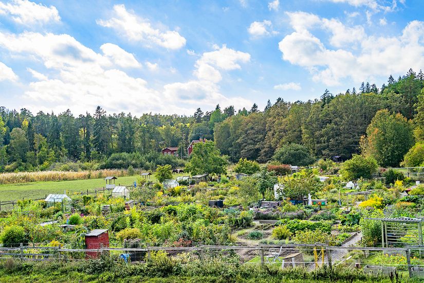 Villa, Skogsövägen 50, Saltsjöbaden/Skogsö, Nacka