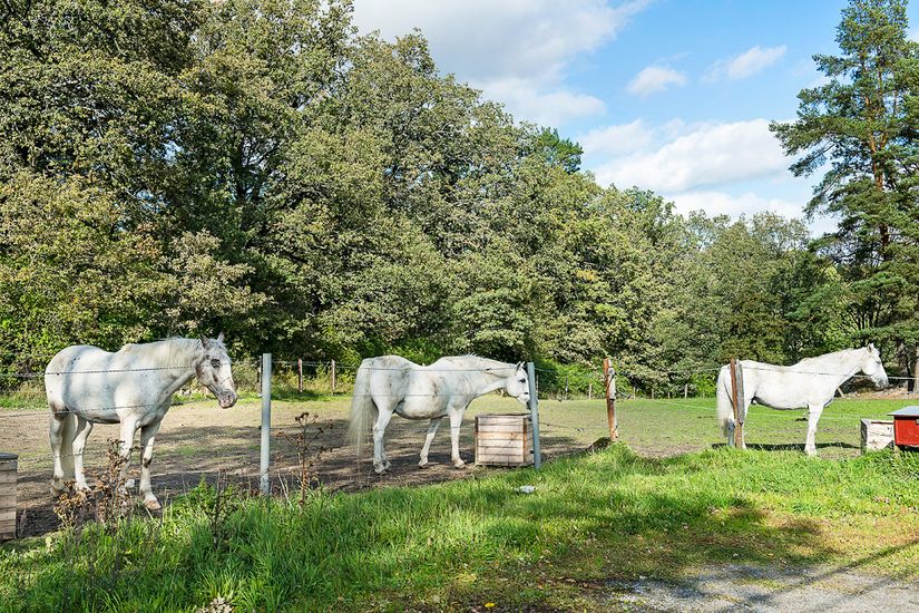 Villa, Skogsövägen 50, Saltsjöbaden/Skogsö, Nacka