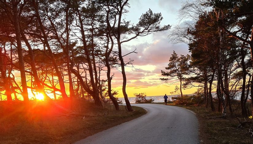 Övrigt, Sanda Björkhagavägen 51, Sanda - Västra Gotland, Gotland