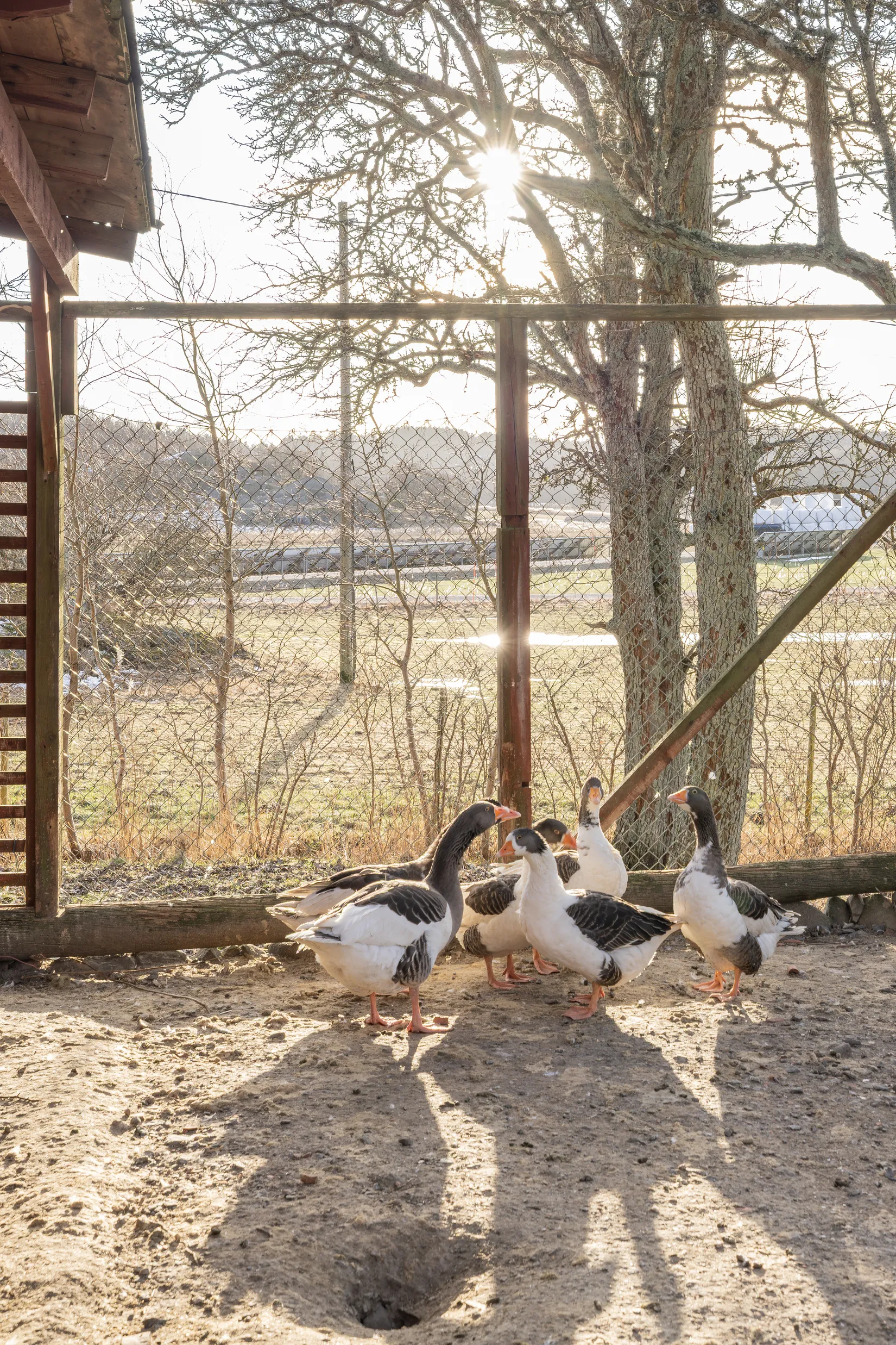 Villa, Brok 12, Brok, Tjörn