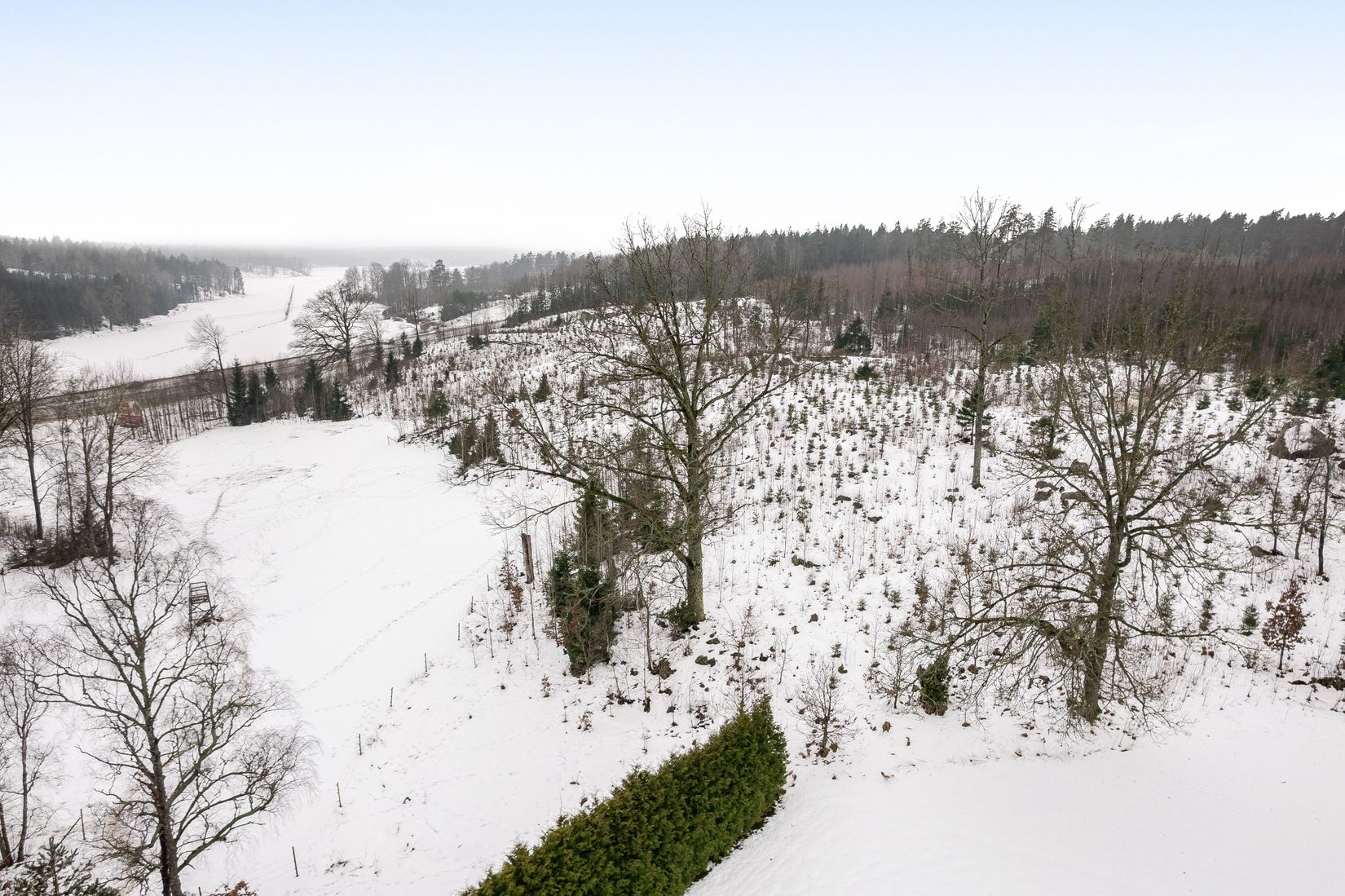 Gård/Skog, Ramshammar Granberga, Ramshammar, Eskilstuna