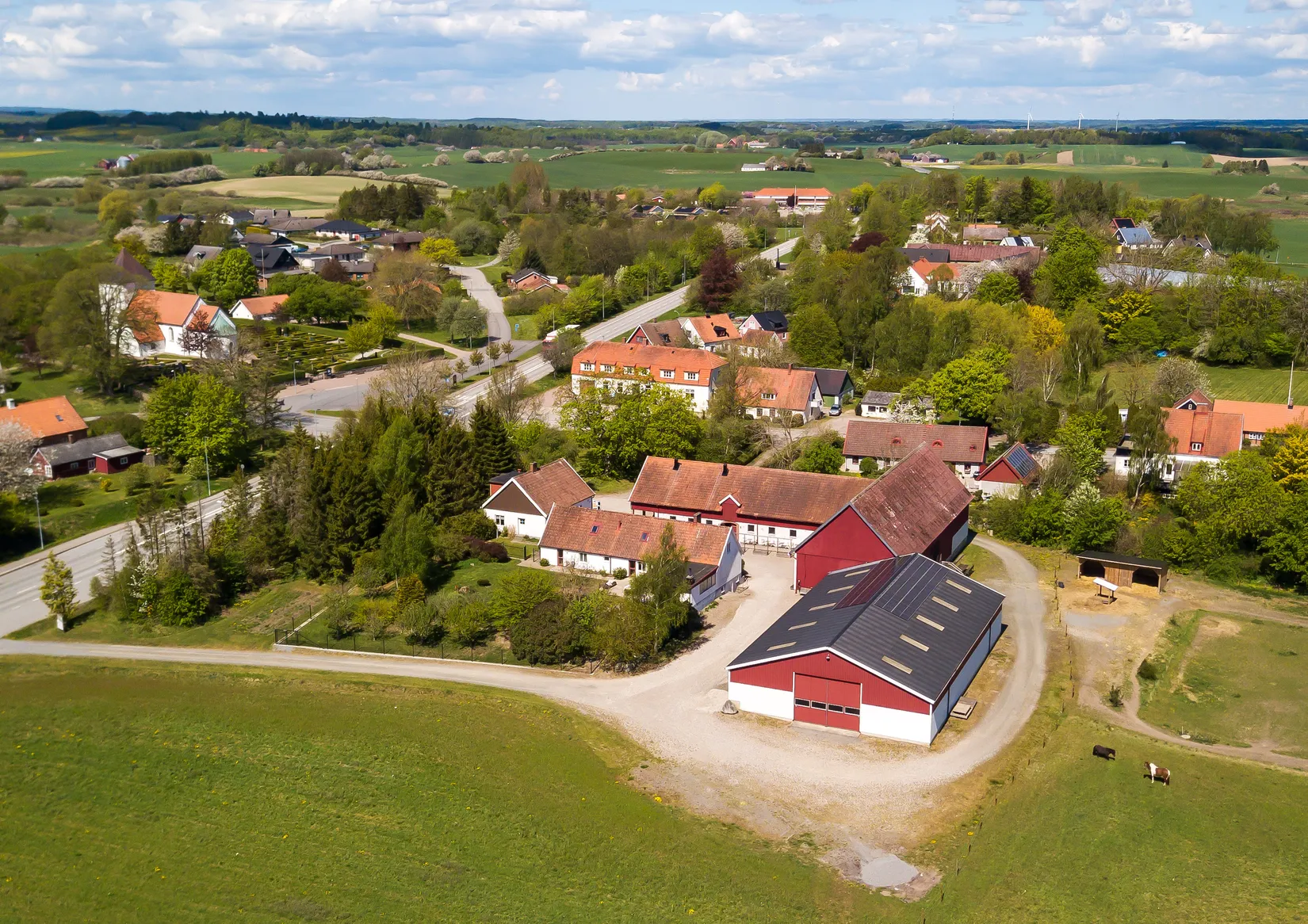 Gård/Skog, Högestavägen 2, Sövestad , Ystad