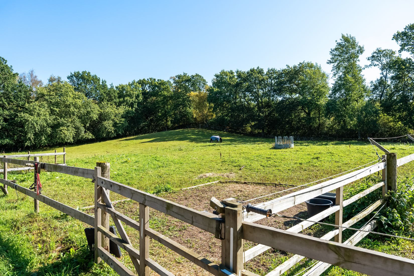Gård/Skog, Gånarps backaväg 59 och 55, Gånarp, Ängelholm