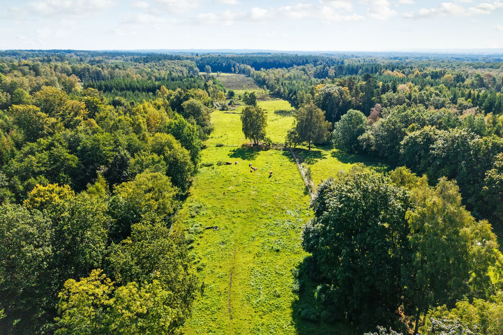Gård/Skog, Gånarps backaväg 59 och 55, Gånarp, Ängelholm