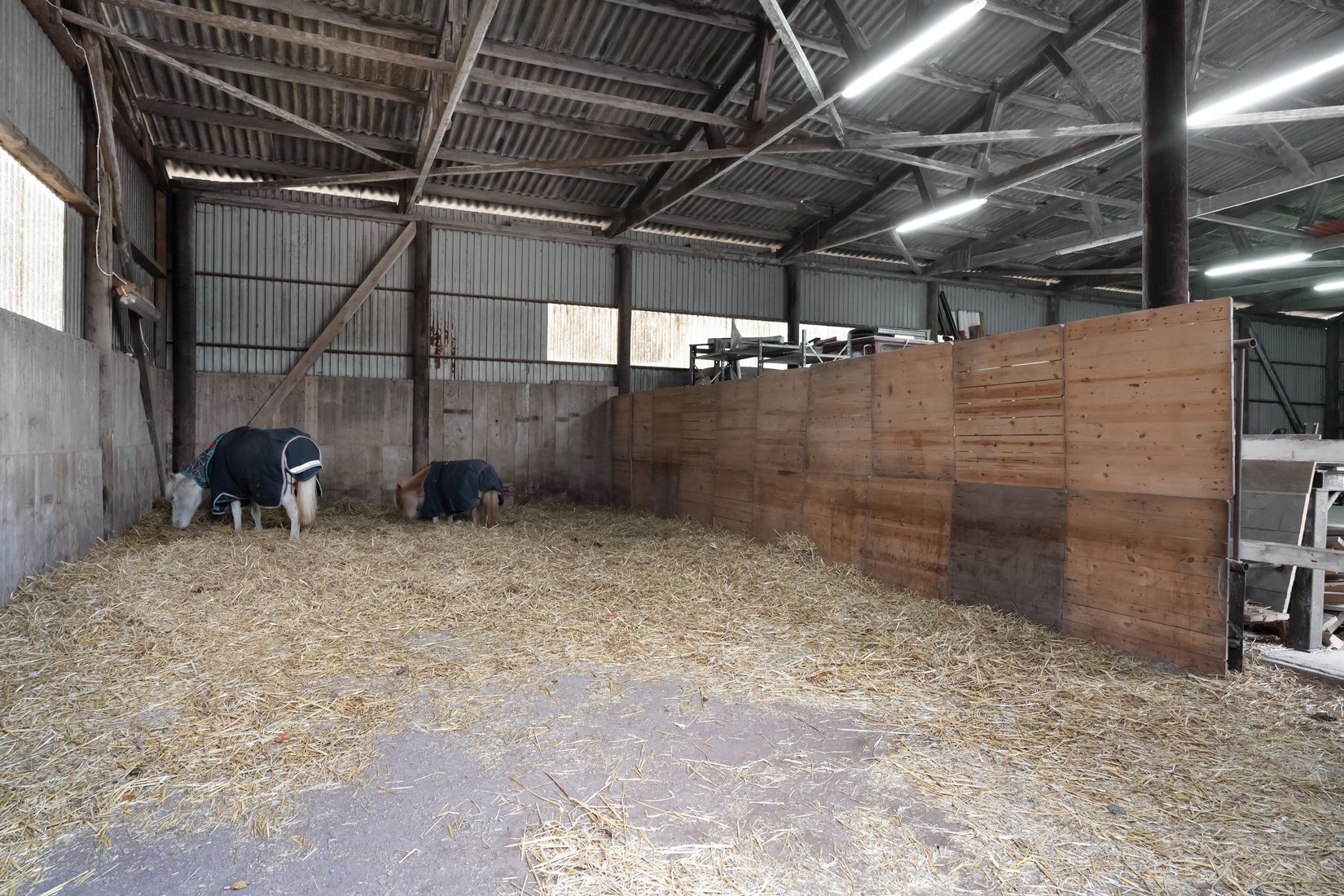 Gård/Skog, Gånarps backaväg 59 och 55, Gånarp, Ängelholm