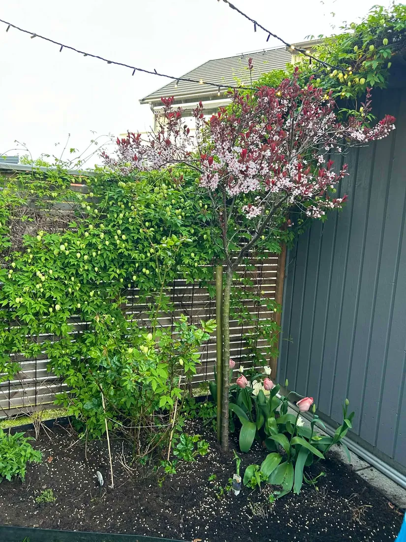 Bostadsrätt, Radhus, Porsholmsvägen 23, Tjuvkil, Kungälv