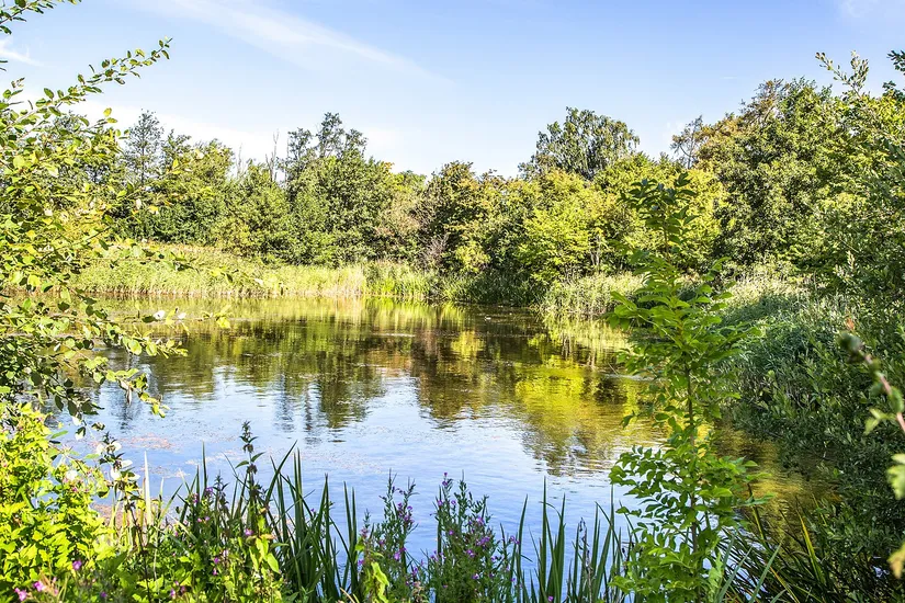Bostadsrätt, Slättängsgatan 25A, Lomma - Slättäng, Lomma