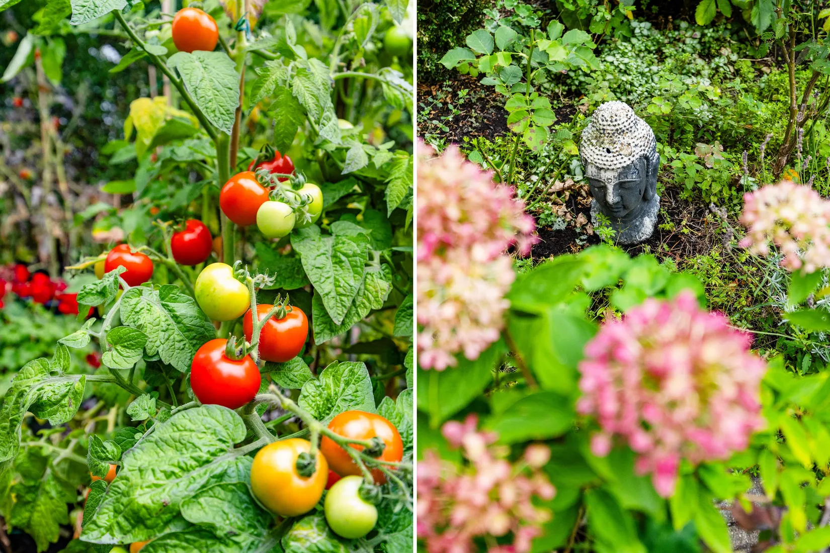 Villa, Svensagatan 11, Lomma