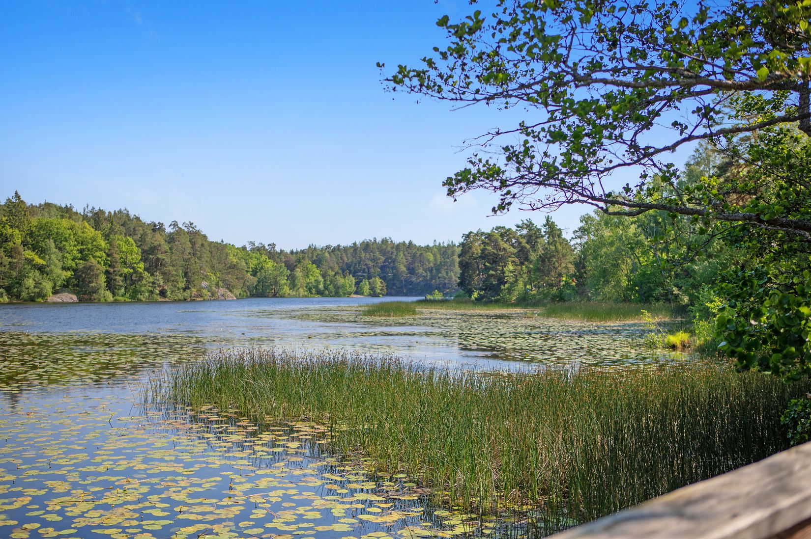 Bostadsrätt, Rusthållarvägen 123, Bagarmossen, Stockholm