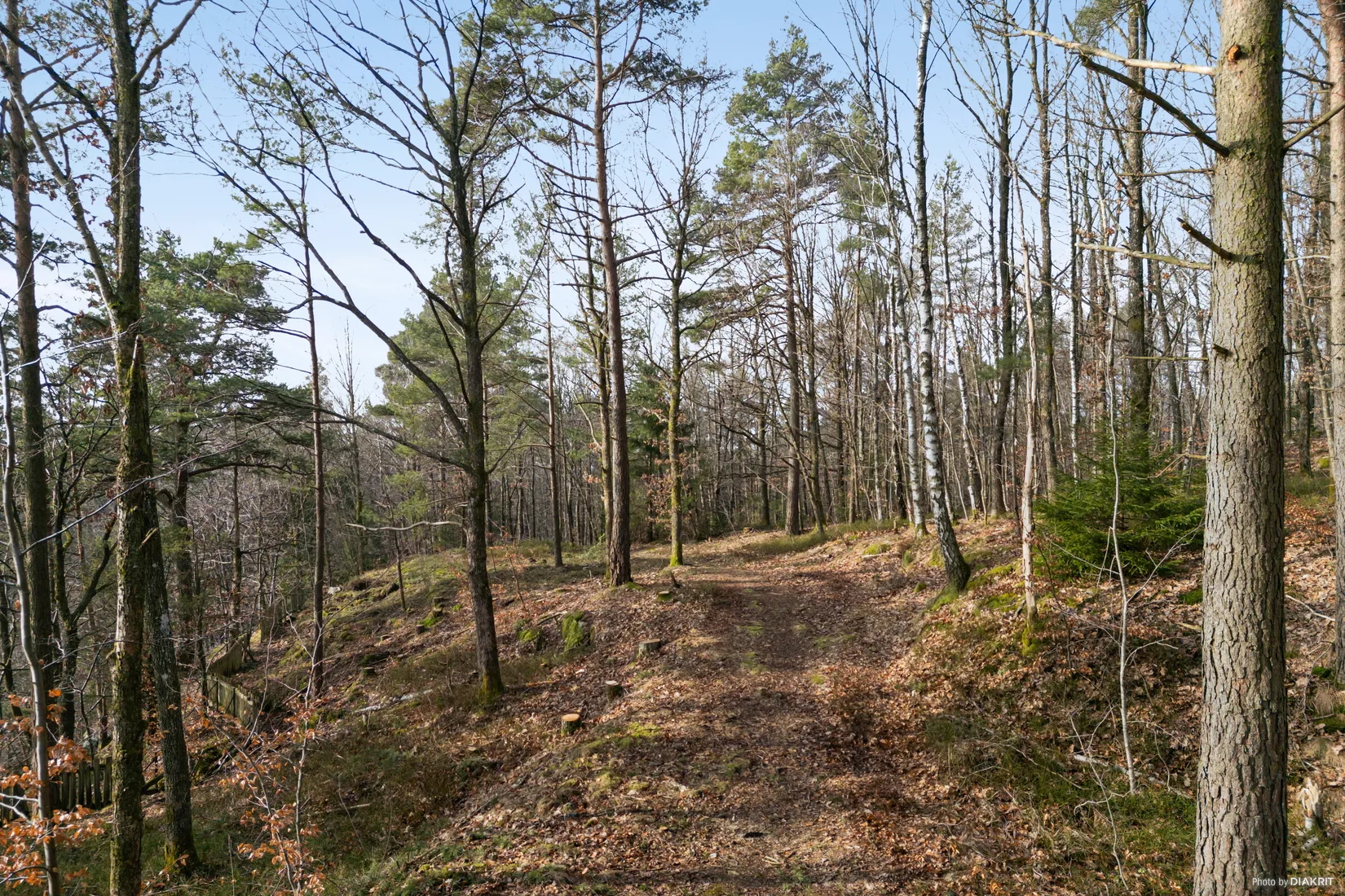 Tomt, Rösetvägen tomt, Landvetter, Härryda