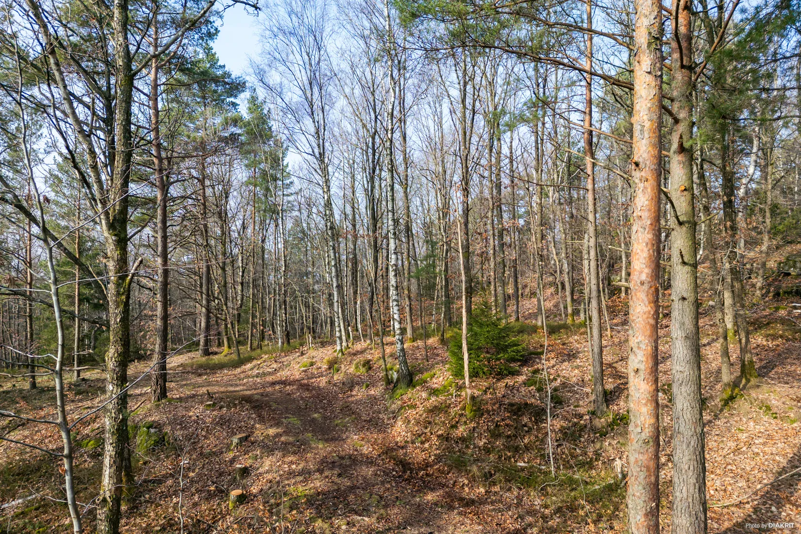 Tomt, Rösetvägen tomt, Landvetter, Härryda