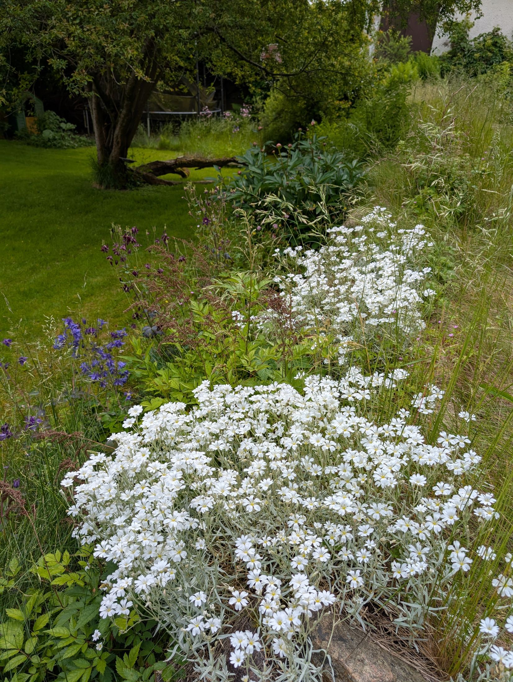 Villa, Enandersgatan 49, Byttorp, Borås