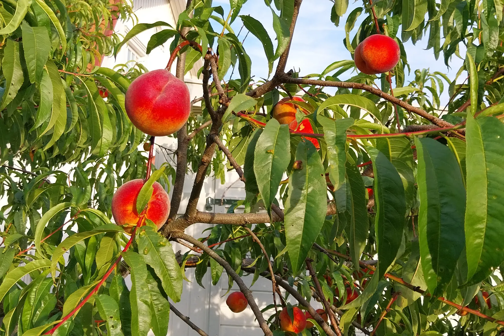 Villa, Grimskaftet 3, Nynäshamn Ösmo, Nynäshamn