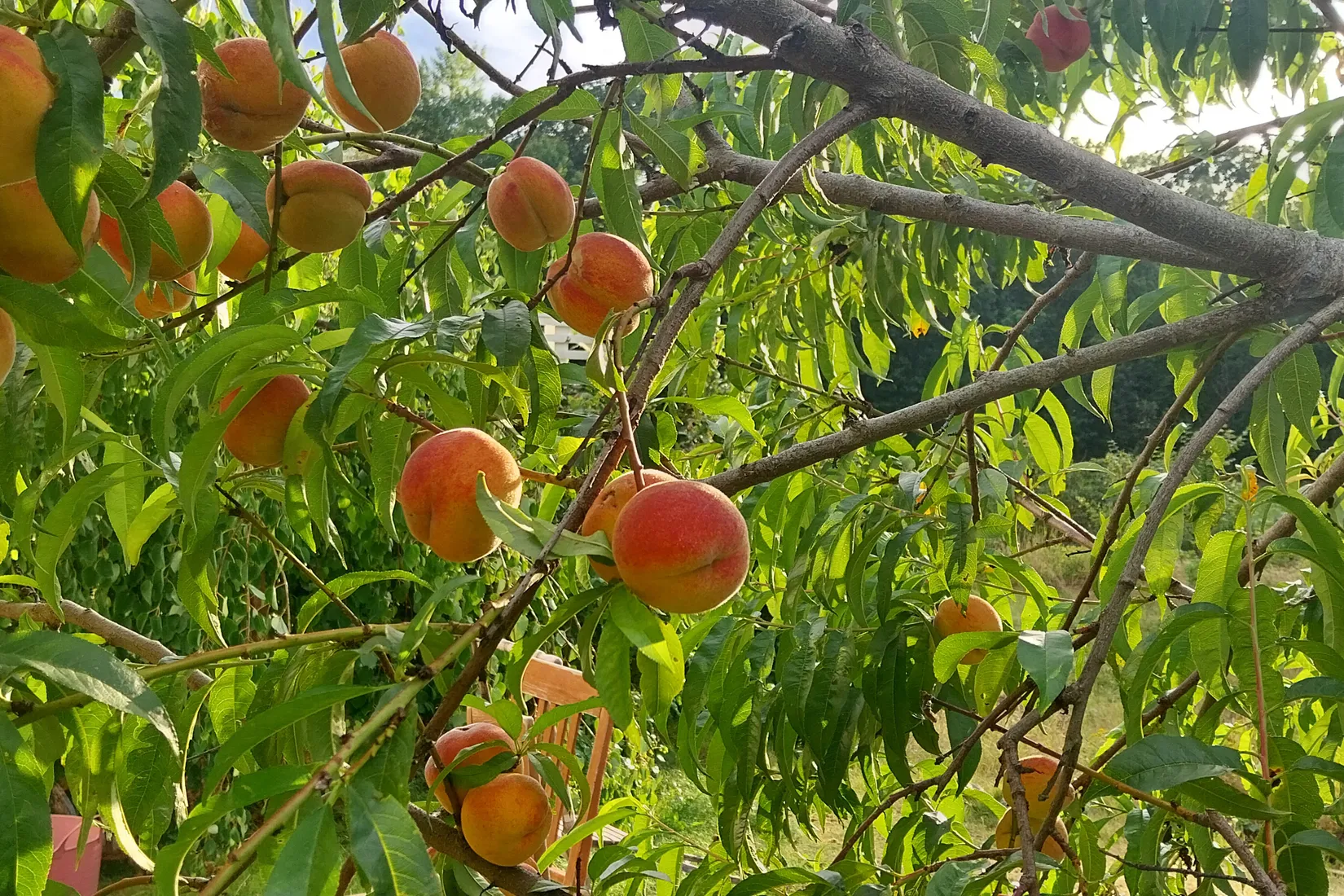 Villa, Grimskaftet 3, Nynäshamn Ösmo, Nynäshamn