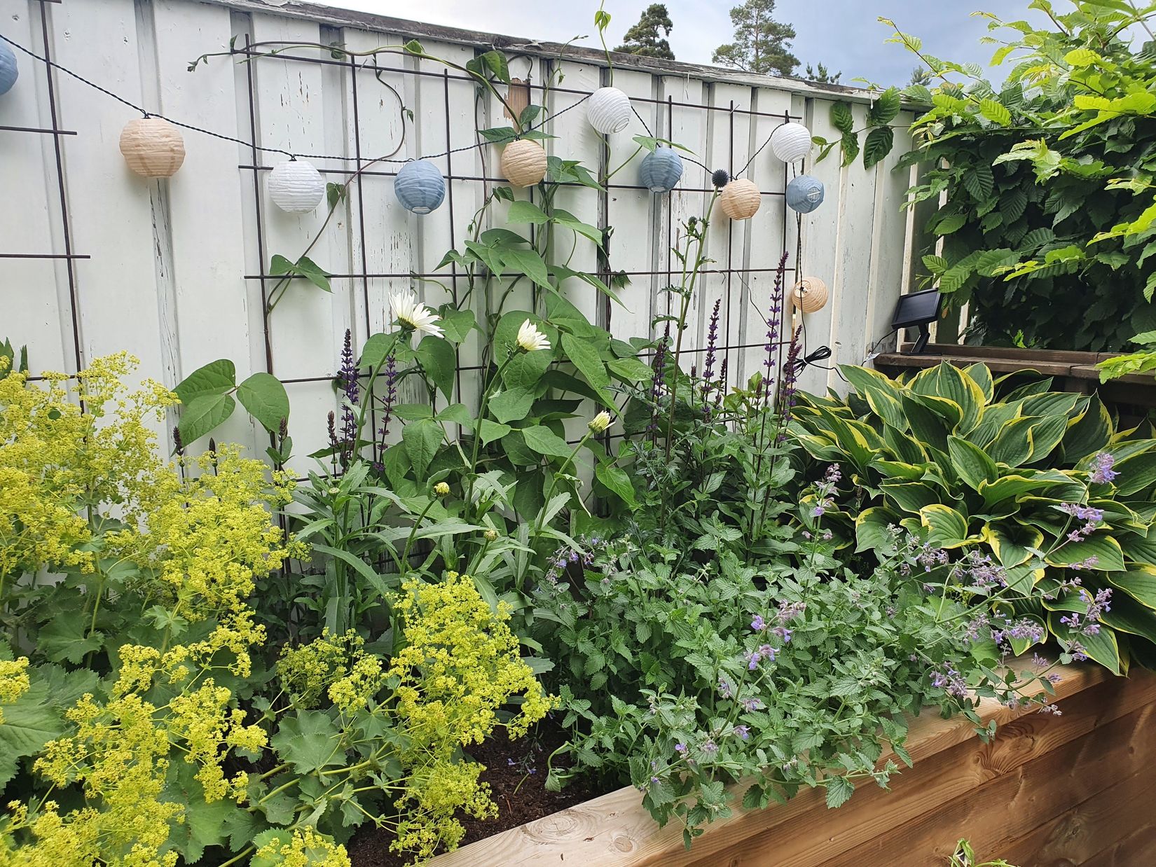 Radhus, Ankares Väg 155, Båtsmanstorpet, Härryda